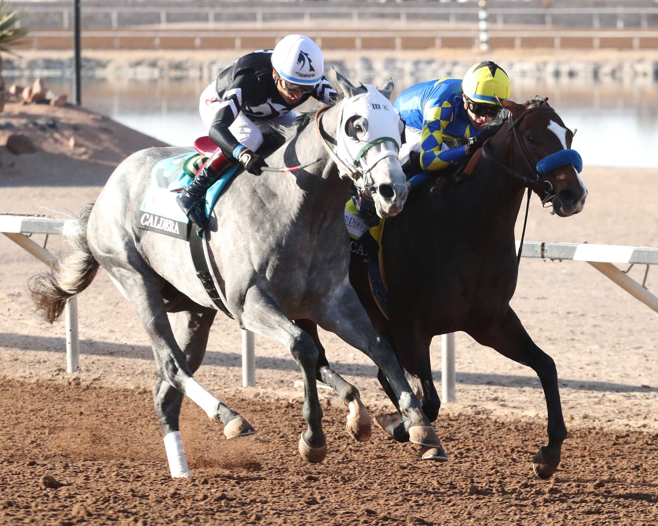 Getaway Car, Horses, Stonestreet Stables, Sunland Park Derby, domingo, 16 de febrero de 2025, Sunland Park. Foto: Coady Media @CoadyPhoto