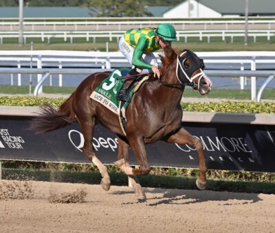 Gate To Wire, horse, Munnings, Swale Stakes listado, sábado, 1 de febrero de 2025, Gulsftream Park. Foto: Coglianese Photo
