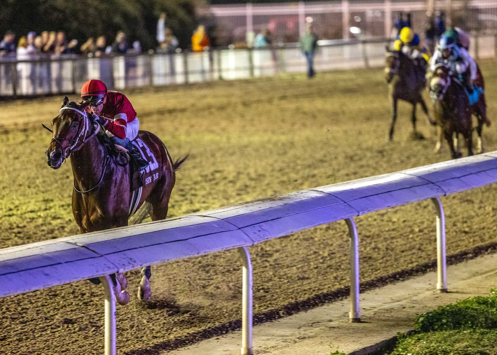 Magnitude, horses, Winchell Thoroughbreds, Risen Star Stakes, sábado, 15 de febrero de 2025, Fair Grounds. Foto: Hodges Photography