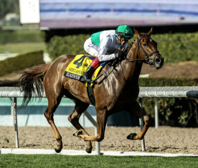 Rashmi, Horses, Oscar Performance, Santa Mónica Stakes, sábado, 1 de febrero de 2025, Santa Anita Park. Foto: Benoit Photo