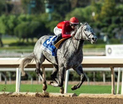 Roll On Big Joe, Horses, Prospective, Los Palos Verdes Stakes, sábado, 15 de febrero de 2025, Santa Anita Park. Foto: Benoit Photo