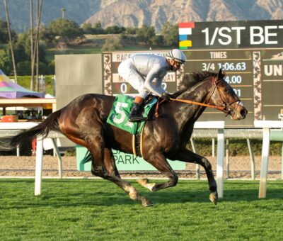 Scipio, Horses, Caravaggio, Baffle Stakes, domingo, 16 de febrero de 2025, Santa Anita Park. Foto: Benoit Photo