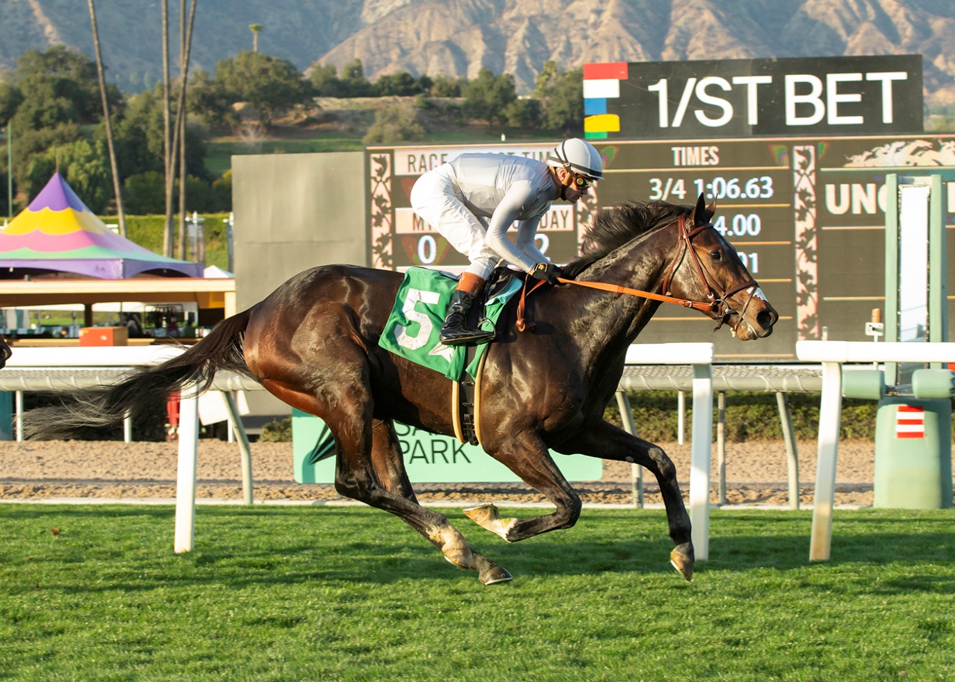 Scipio, Horses, Caravaggio, Baffle Stakes, domingo, 16 de febrero de 2025, Santa Anita Park. Foto: Benoit Photo