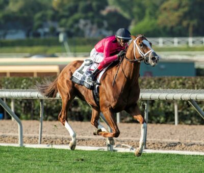 There Goes Harvard, Horses, Will Take Charge, San Marcos Stakes, sábado, 8 de febrero de 2025, Santa Anita Park. Foto Benoit Photo