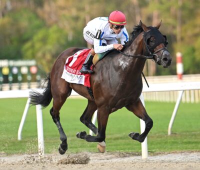 Owen Almighty, horse, Speightstown, Tampa Bay Derby, sábado, 8 de marzo de 2025 Tampa Bay Downs Foto: SV Photography