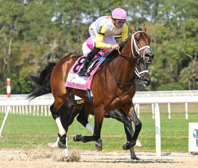 Skippylongstocking, horse, Exaggerator, Michelob Ultra Challenger, sábado, 8 de marzo de 2025, Tampa Bay Downs. Foto: SV Photography