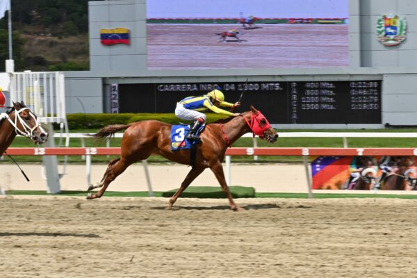 El Relámpago, horse, Mr. Defence, Clásico Mauricio Azar, domingo, 9 de marzo de 2025, La Rinconada. Foto: José Antonio Aray