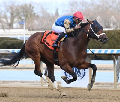 Flood Zone, horse, Frosted, Gotham Stakes, sábado, 2 de marzo de 2024, Aqueduct. Foto: Coglaniese Photo & Chelsea Durand