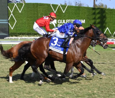 Fort Washington, horse White Birch Farm, Canadian Turf Stakes, sábado, 1 de marzo de 2025, Gulsftream Park. Foto: Coglianese Photo