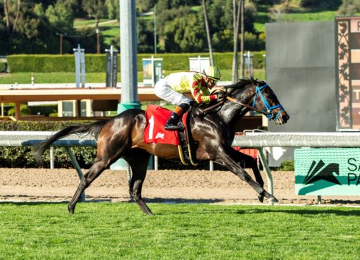 Freedom´s Not Free, horses, Omaha Beach, Pasadena Stakes, domingo, 9 de marzo de 2025, Santa Anita Park. Foto: Benoit Photo