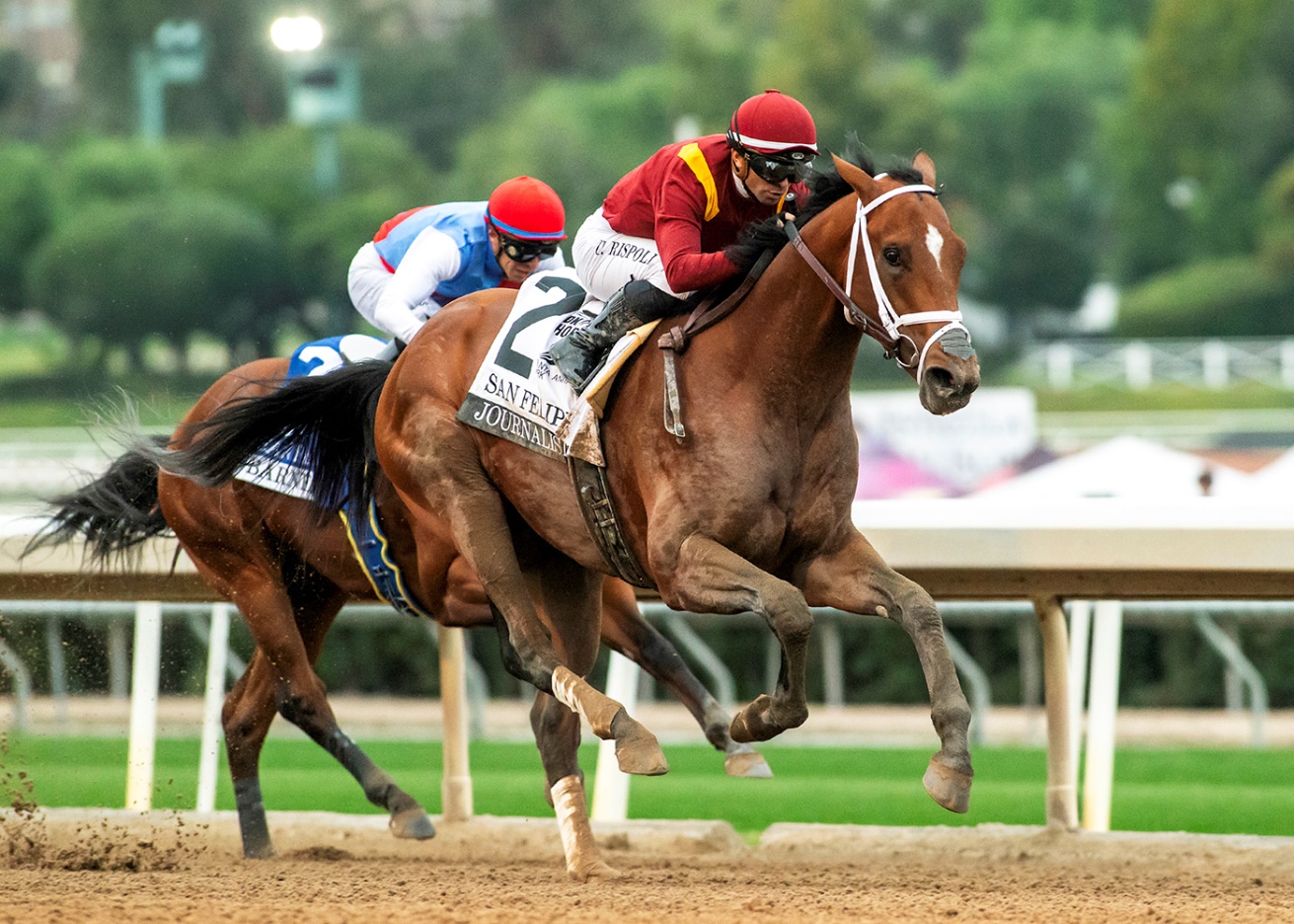 Journalism, Horses, Curlin, San Felipe Stakes, sábado, 1 de marzo de 2025, Santa Anita Park. Foto: Benoit Photo