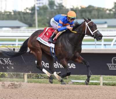The Queens M G, horse, Thousand Words, Davona Dale Stakes, sábado, 1 de marzo de 2025, Gulsftream Park. Foto: Coglianese Photo