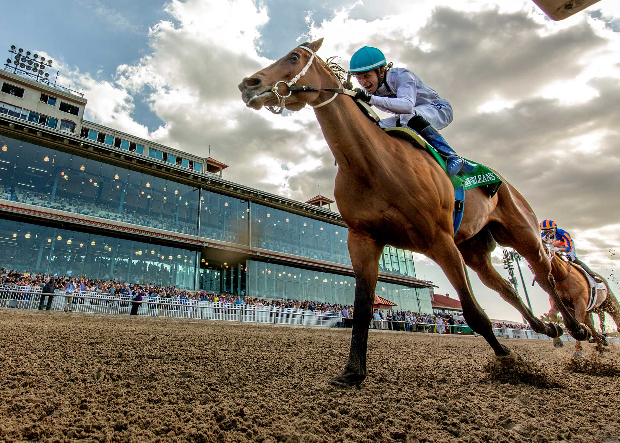 Touchuponastar, horse, Star Guitar, Louisiana Stakes, sábado, 18 de enero de 2025, Fair Grounds. Foto: Hodges Photography