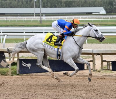 White Abarrio, horse, Spendthrift Farm LLC, Ghostzapper Stakes, sábado, 29 de marzo de 2025, Gulsftream Park. Foto: Coglianese Photo
