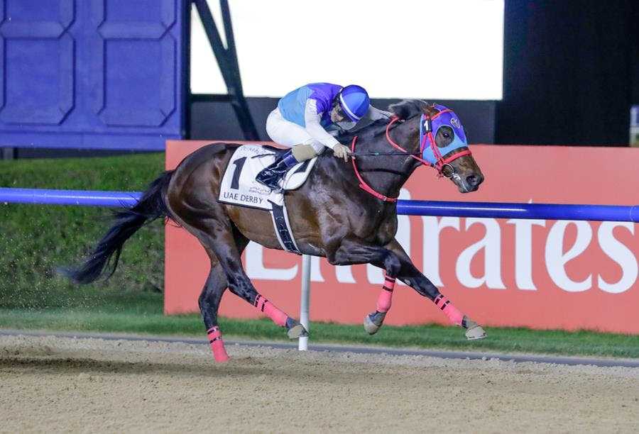 Admire Daytona, Horses, Northern Farm, UAE Derby, Meydan Racecourse, sábado, 5 de abril de 2025. Foto: Liesl King & Media DWC