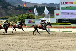 Bella Catira, horse, Haras Alegría, Clásico Peggy Azqueta, domingo, 13 de abril de 2025, La Rinconada. Foto: José Antonio Aray
