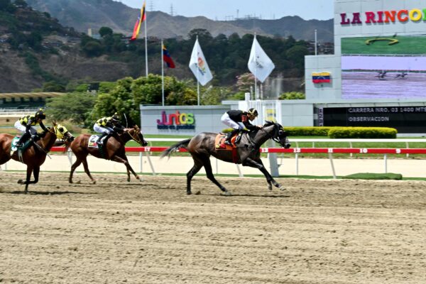 Bella Catira, horse, Haras Alegría, Clásico Peggy Azqueta, domingo, 13 de abril de 2025, La Rinconada. Foto: José Antonio Aray