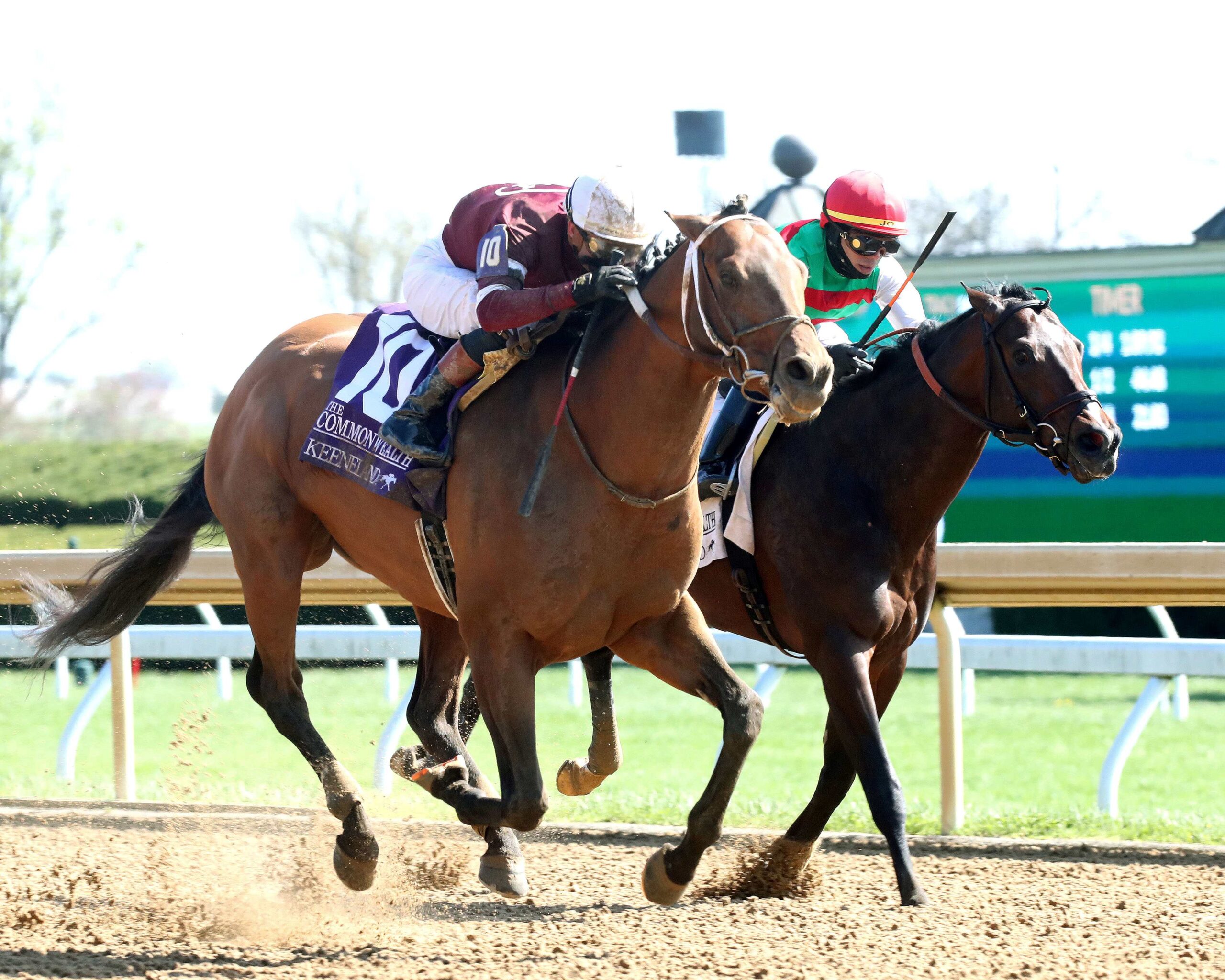 Extra Anejo, horse, Winchell Thoroughbreds, Commonwealth Stakes, martes, 8 de abril de 2024, Keeneland. Foto: Coady Photo