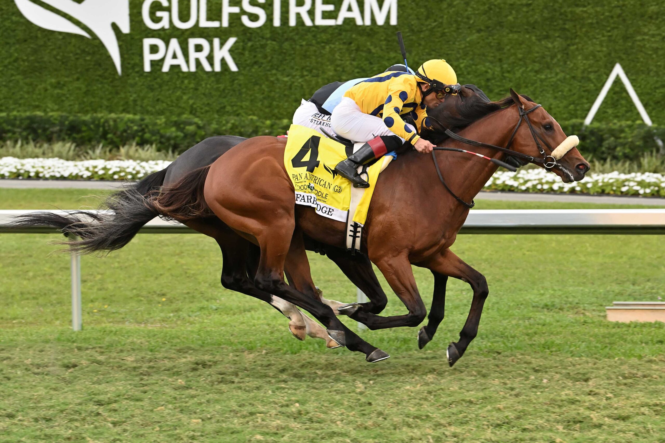 Far Bridge, horse, English Channel, Pan American Stakes1, sábado, 29 de marzo de 2025, Gulsftream Park. Foto: Coglianese Photo