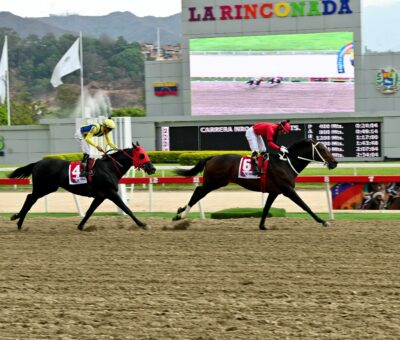 Li Tre Fratelli, horse, Haras Urama, Clásico Presidente de la República, domingo, 20 de abril de 2025, La Rinconada. Foto: José Antonio Aray