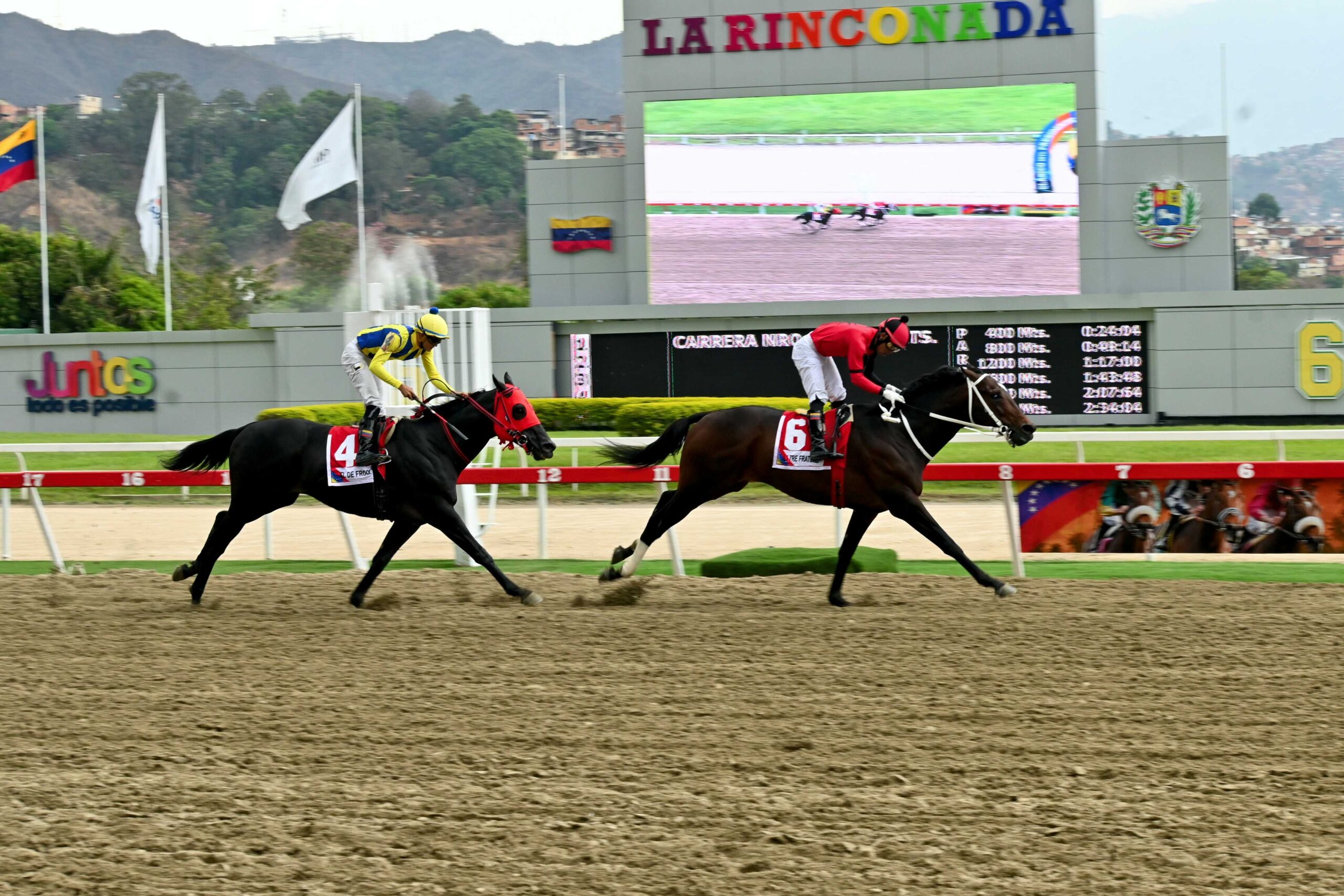 Li Tre Fratelli, horse, Haras Urama, Clásico Presidente de la República, domingo, 20 de abril de 2025, La Rinconada. Foto: José Antonio Aray