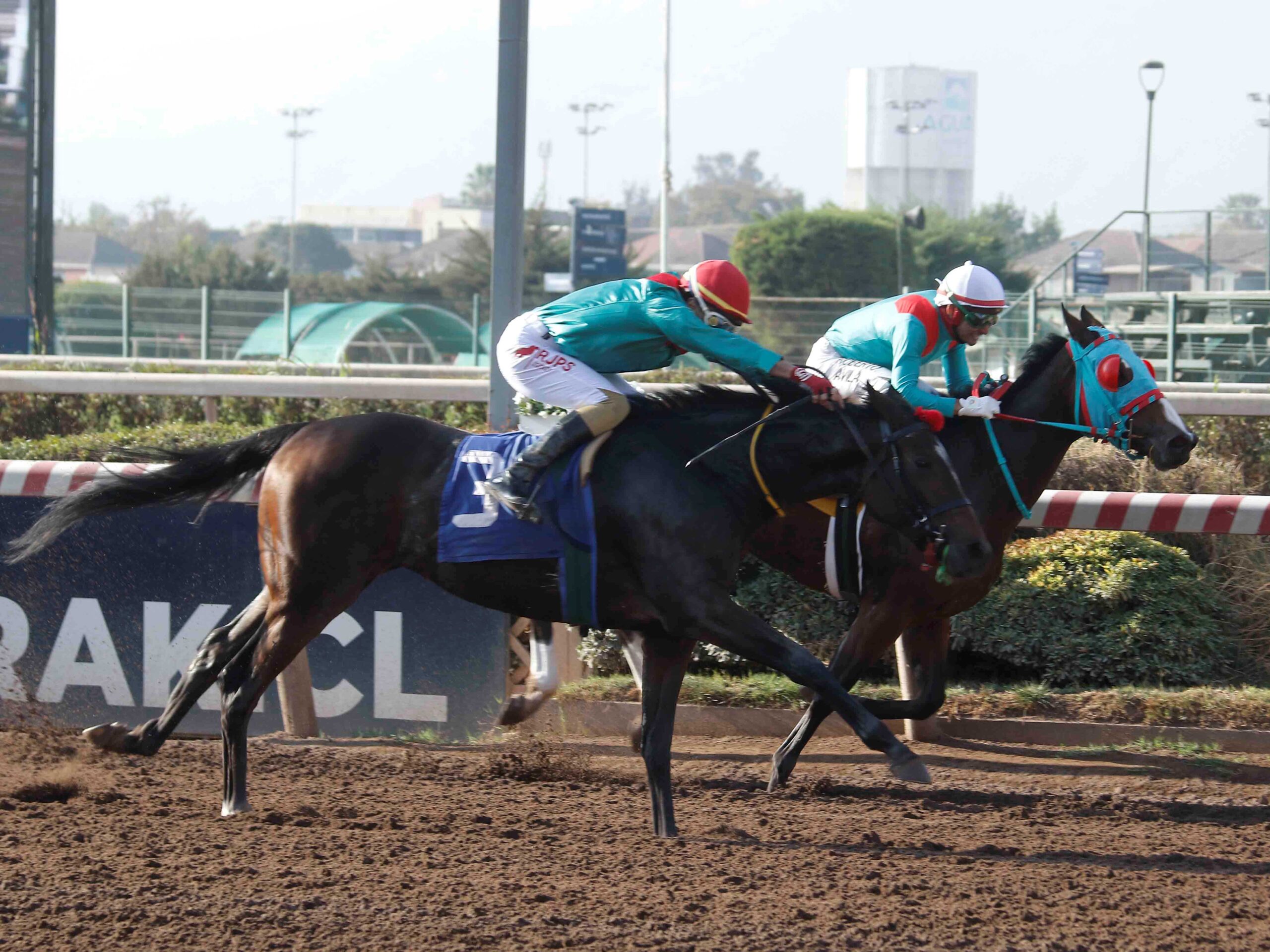 Mí Clásica, horse, Haras Paso Nevado, Clásico Alberto Vial Letelier, sábado, 26 de abril de 2025, Hipódromo Chile. Foto: Jaime Cortés