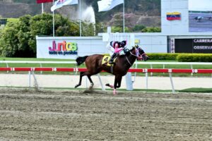 Prometheus, horse, Haras Los Samanes, Clásico Juan Vicente Tovar, domingo, 13 de abril de 2025, La Rinconada. Foto: José Antonio Aray
