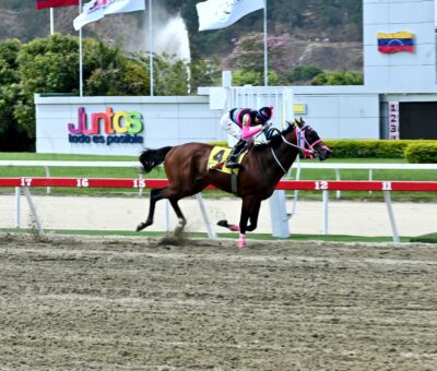 Prometheus, horse, Haras Los Samanes, Clásico Juan Vicente Tovar, domingo, 13 de abril de 2025, La Rinconada. Foto: José Antonio Aray