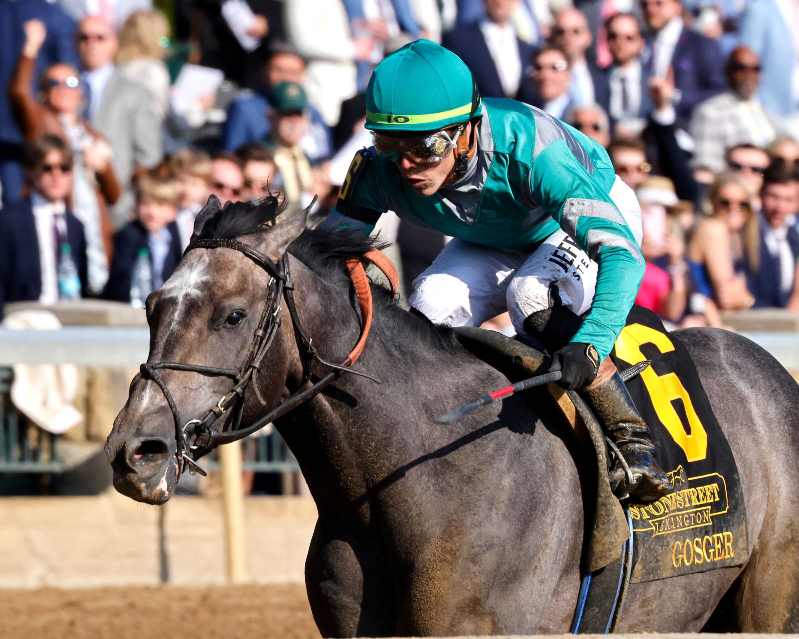 Gosger, horse, Nyquist, Stonestreet Lexington Stakes, sábado, 12 de abril de 2025, Keeneland. Foto: Coady Media