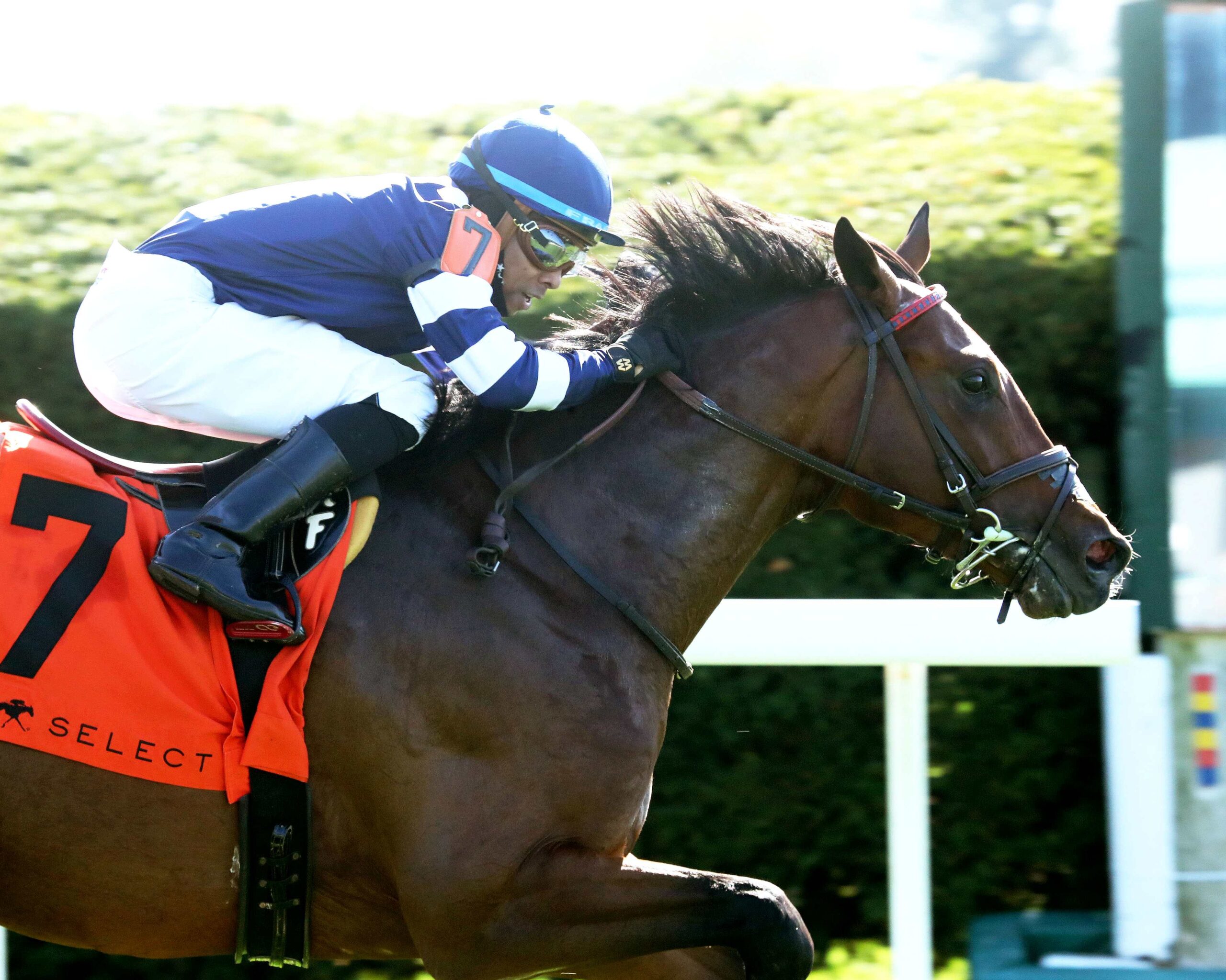 Test Score, horse, Lookin At Lucky, Transylvania Stakes, lunes, 7 de abril de 2024, Keeneland. Foto: Coady Photo