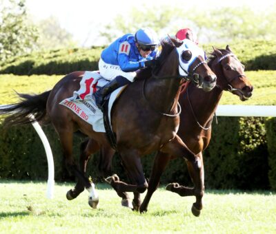Think Big, horse, Twirling Candy, Shakertown Stakes, martes, 8 de abril de 2025, Keeneland. Foto: Coady Photo
