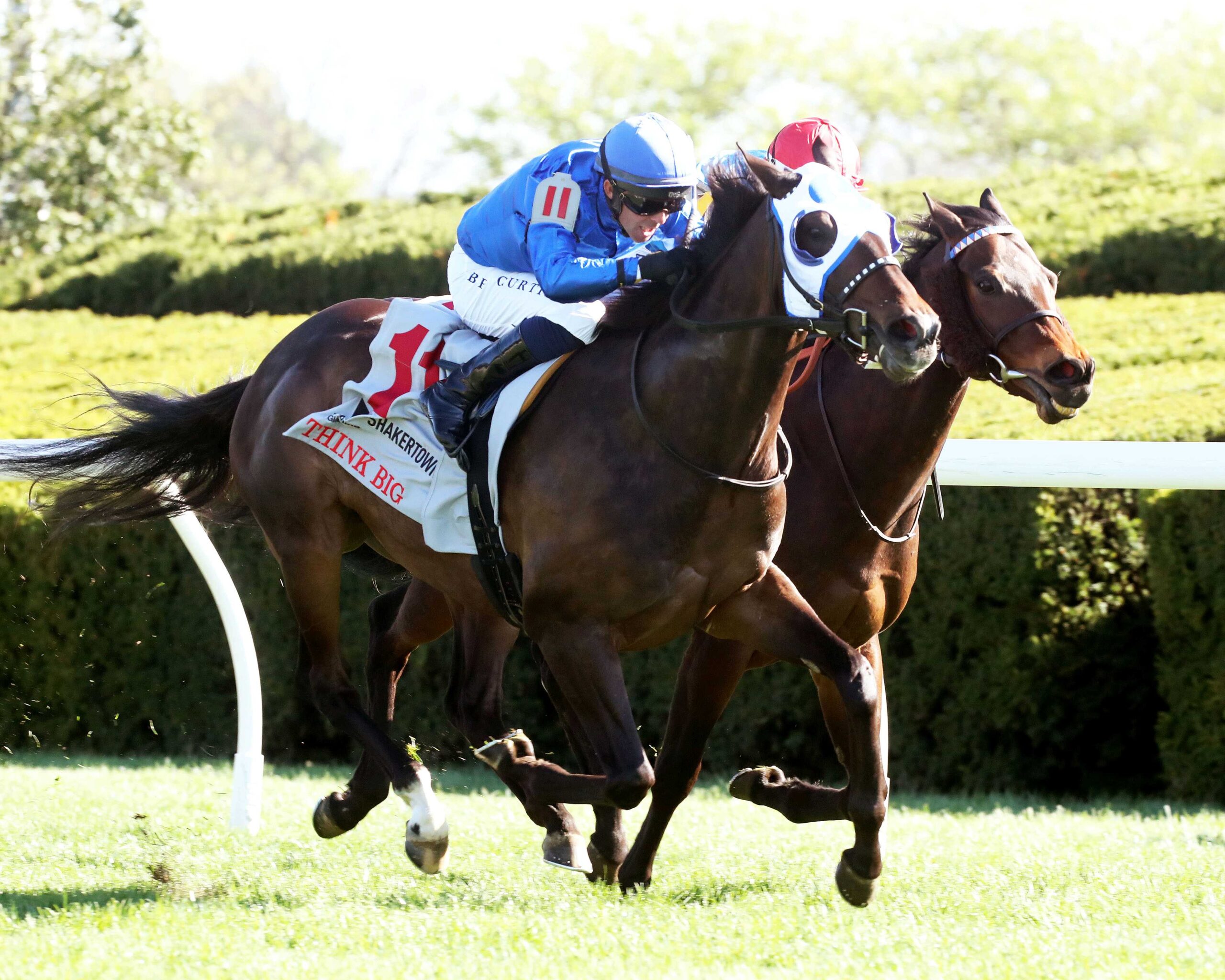 Think Big, horse, Twirling Candy, Shakertown Stakes, martes, 8 de abril de 2025, Keeneland. Foto: Coady Photo