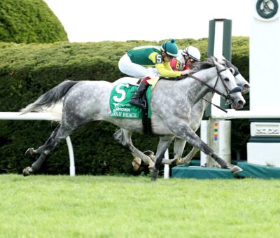 https://hipicaglobal.com/noticias/usa/silver-knott-altamente-rendidor-gano-el-elkhorn-stakes/