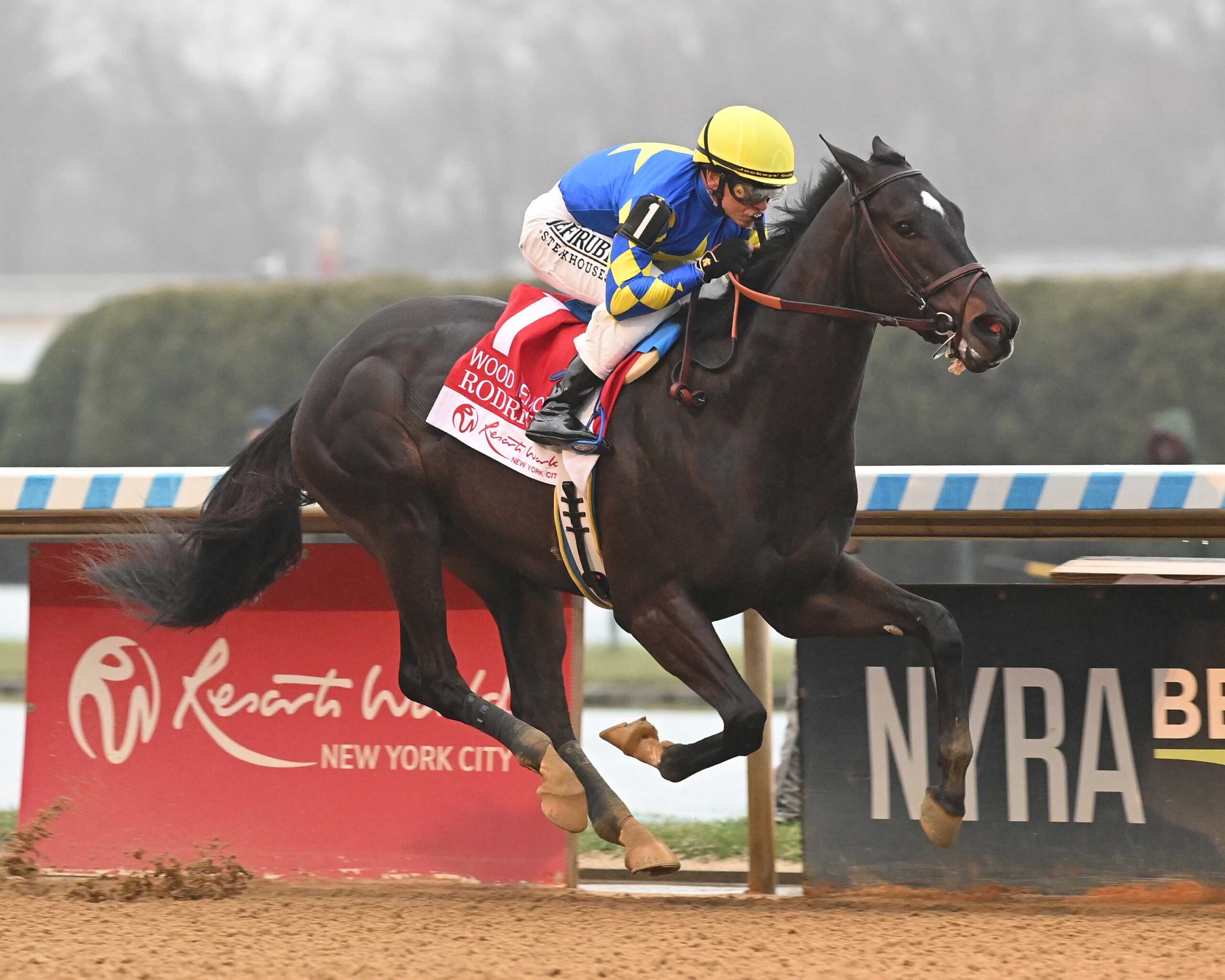 Rodríguez, horse, Stonestreet Stables, Resort World Casino Wood Memorial, sábado, 5 de abril de 2025, Aqueduct. Foto: Coglaniese Photo