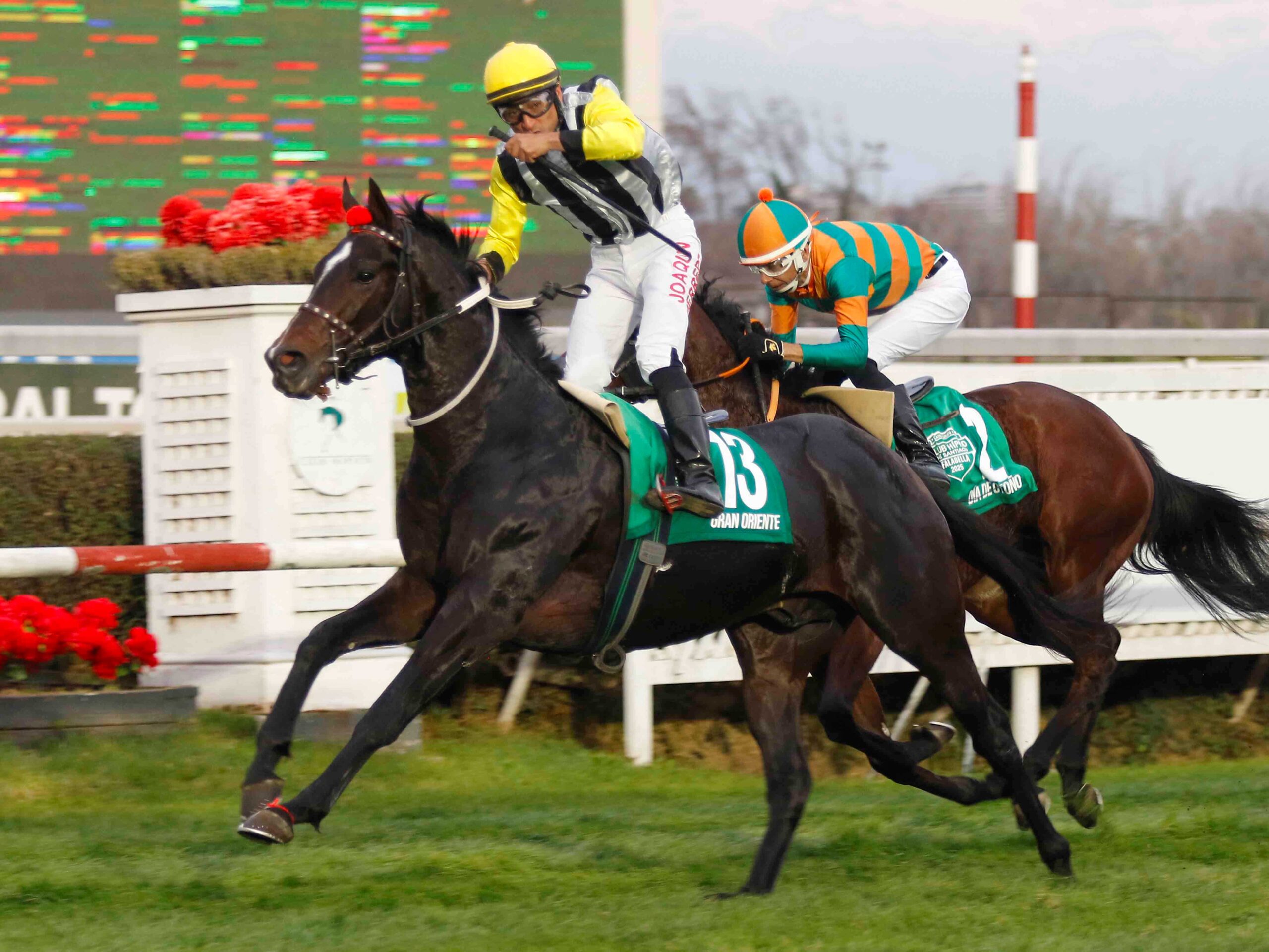 Gran Oriente, horses, Haras Paso Nevado, Clásico Club Hípico de Santiago Breeders´Cup, domingo, 25 de mayo de 2025, Club Hípico de Santiago. Foto: Jaime Cortés