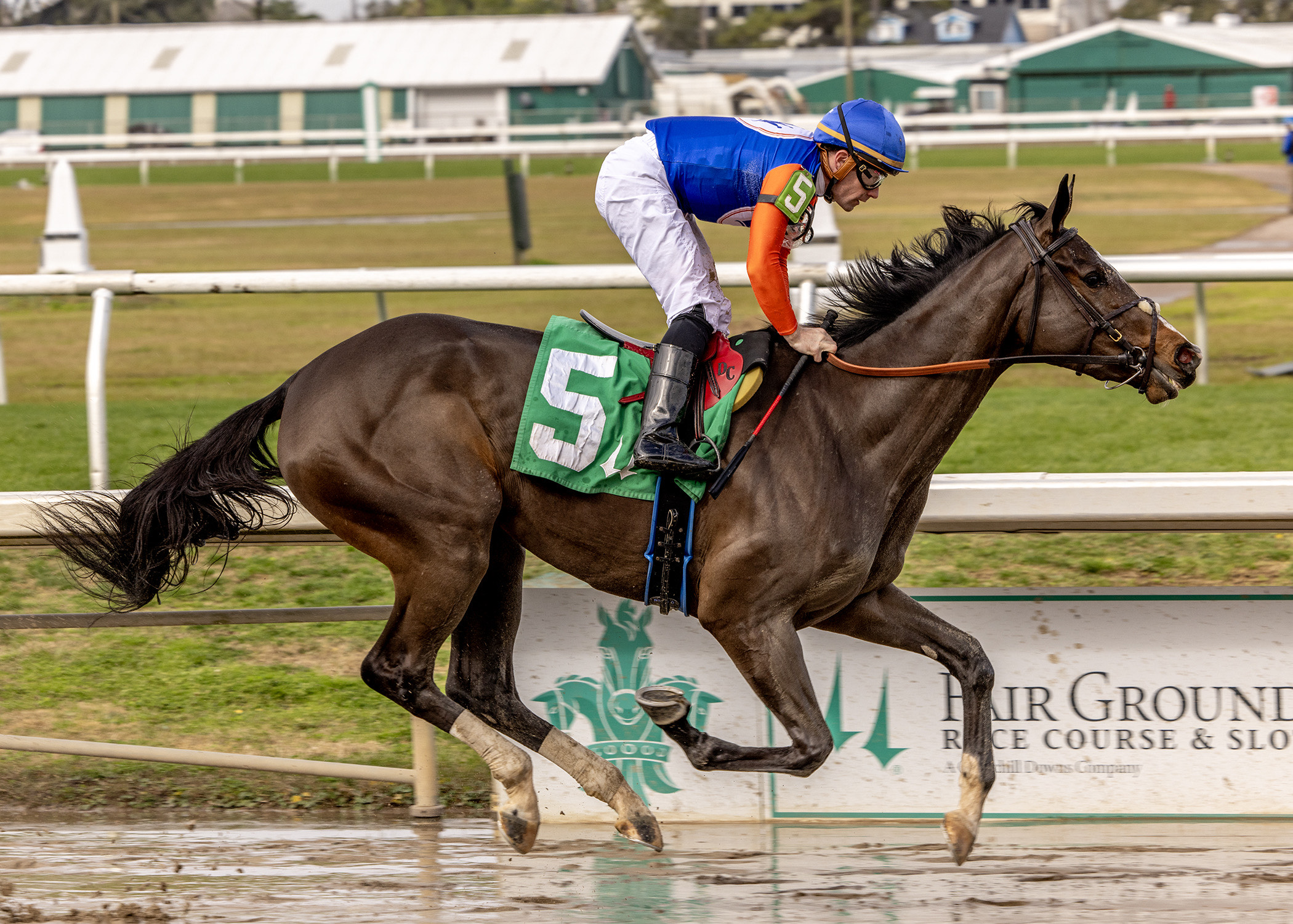 Margie´s Intention, horses, Honor A. P., Maiden Special Weight, sábado, 18 de enero de 2025, Fair Grounds. Foto: Hodges Photography