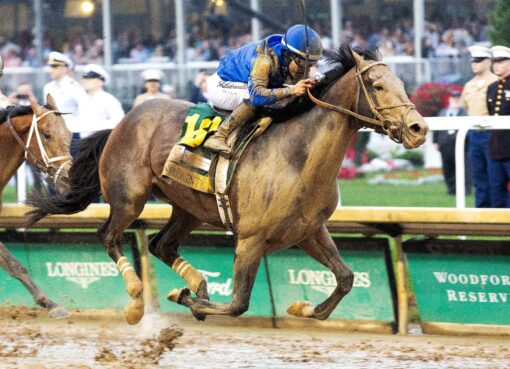 Sovereignty, horse, Into Mischief, Kentucky Derby, sábado, 3 de mayo de 2025, Churchill Downs. Foto: Coady Media