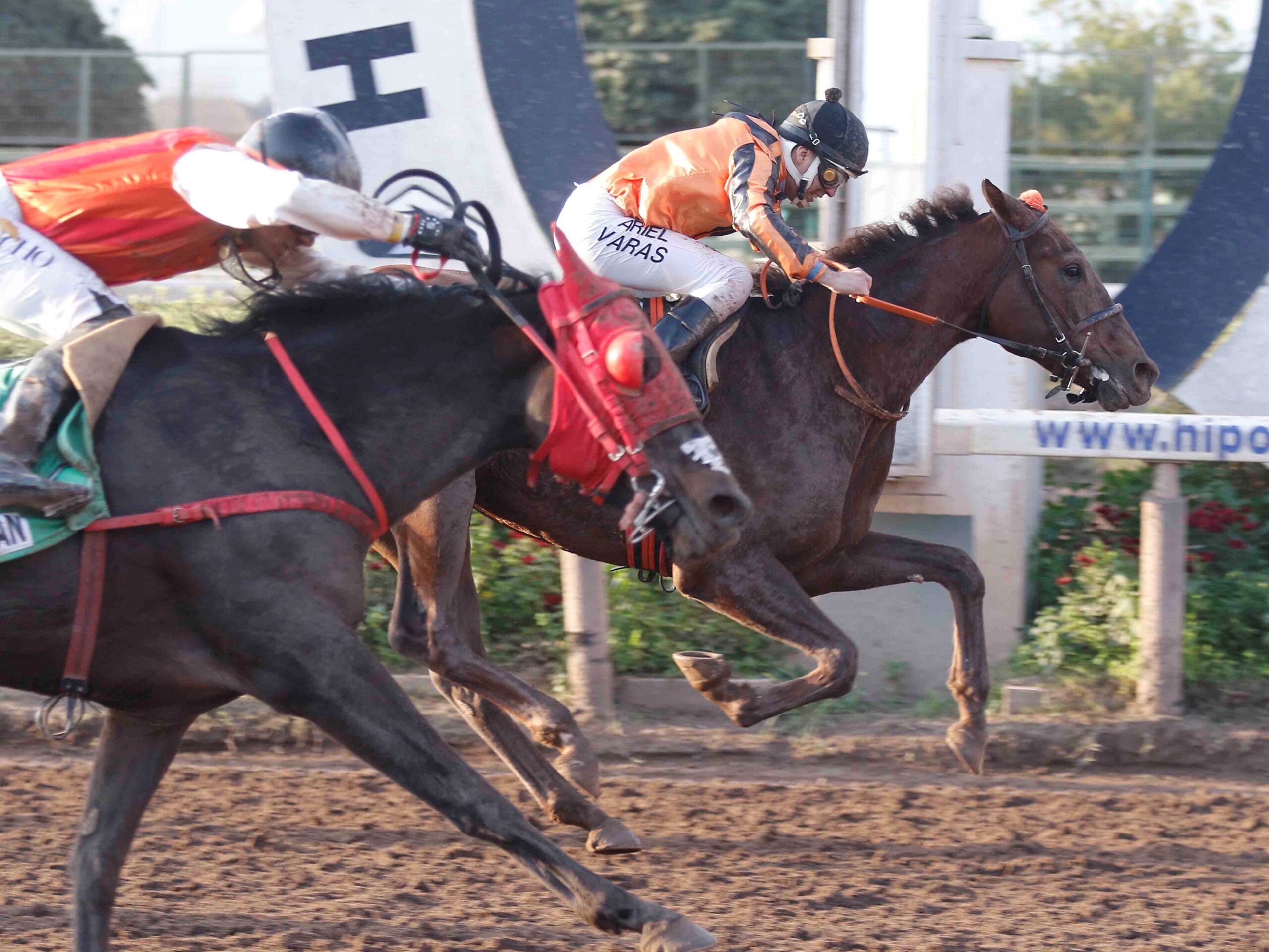 Diosa Del Rock, horse, Timojin, Clásico Tanteo de Potrancas, sábado, 28 de junio de 2025, Hipódromo Chile. Foto: Jaime Cortés