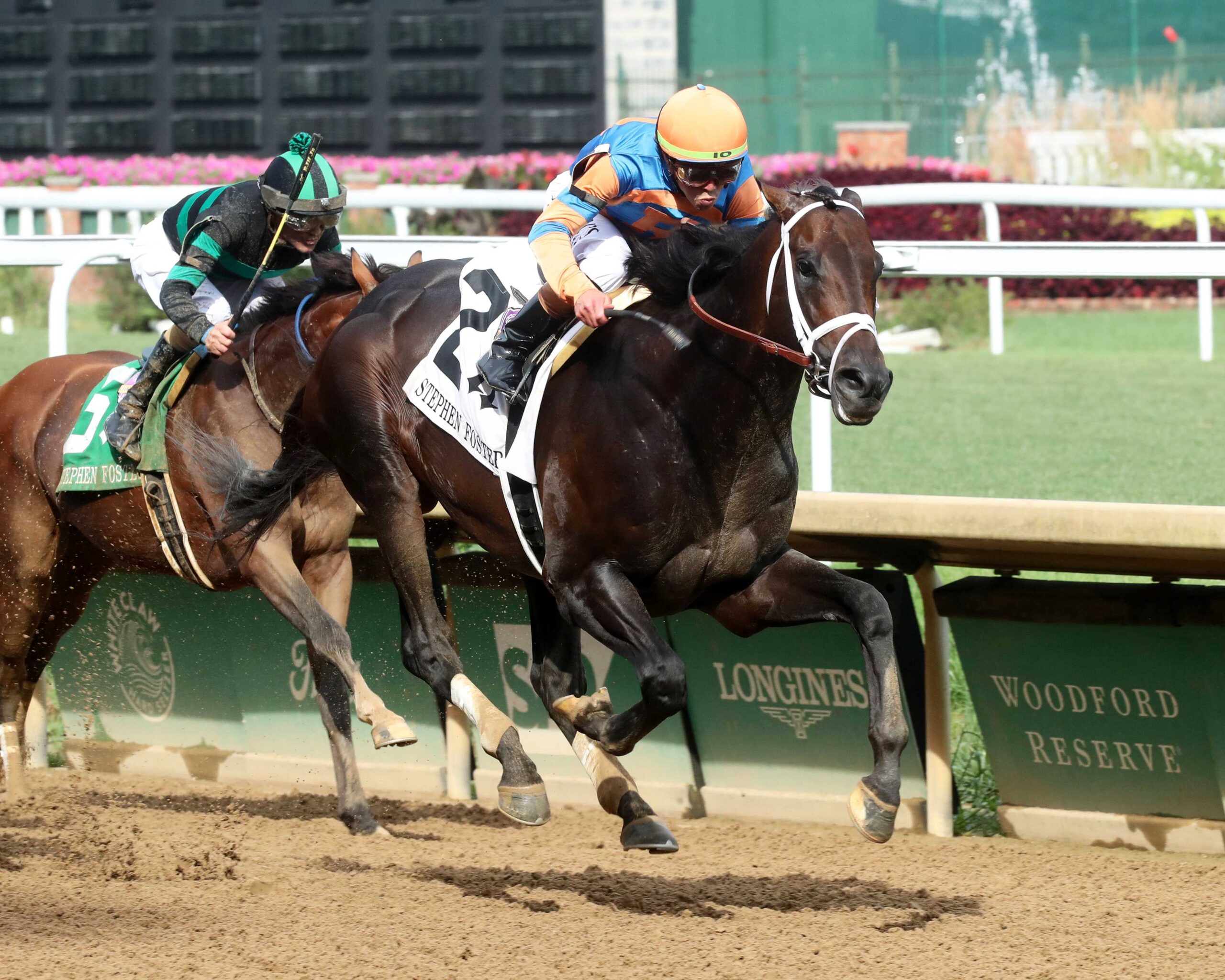 Mindframe, horse, Repole Stable, sábado, 28 de junio de 2025, Churchill Downs. Foto: Coady Media