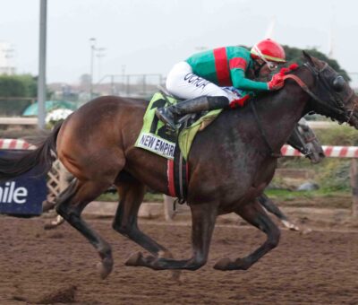 New Empire, horse, Haras Paso Nevado, Clásico Tanteo de Potrillos, sábado, 28 de junio de 2025, Hipódromo Chile. Foto: Jaime Cortés