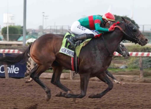 New Empire, horse, Haras Paso Nevado, Clásico Tanteo de Potrillos, sábado, 28 de junio de 2025, Hipódromo Chile. Foto: Jaime Cortés