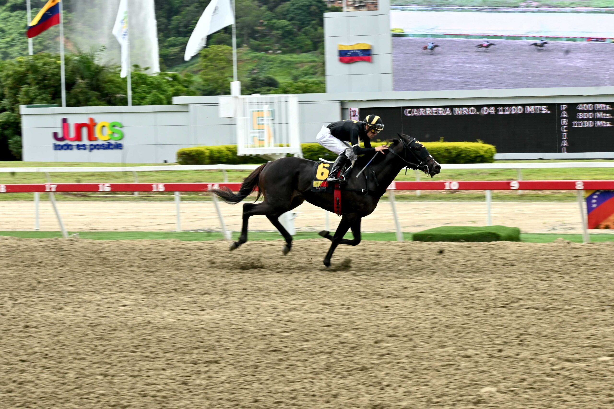 Star White, horse, Imaginay Sailor, Clásico El Corsario, domingo, 22 de junio de 2025, La Rinconada. Foto: José Antonio Aray