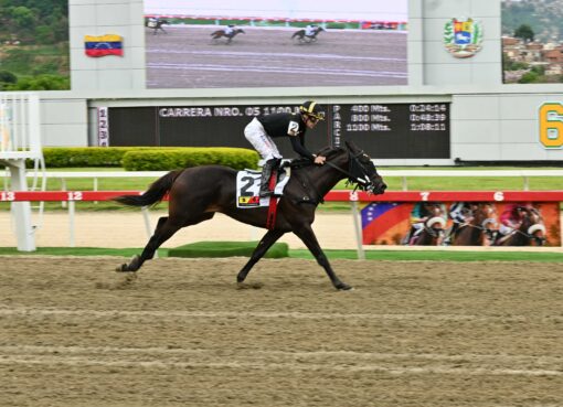 Star White, horse, Imaginay Sailor, Clásico Periodistas Hípicos, domingo, 18 de mayo de 2025, La Rinconada. Foto: José Antonio Aray