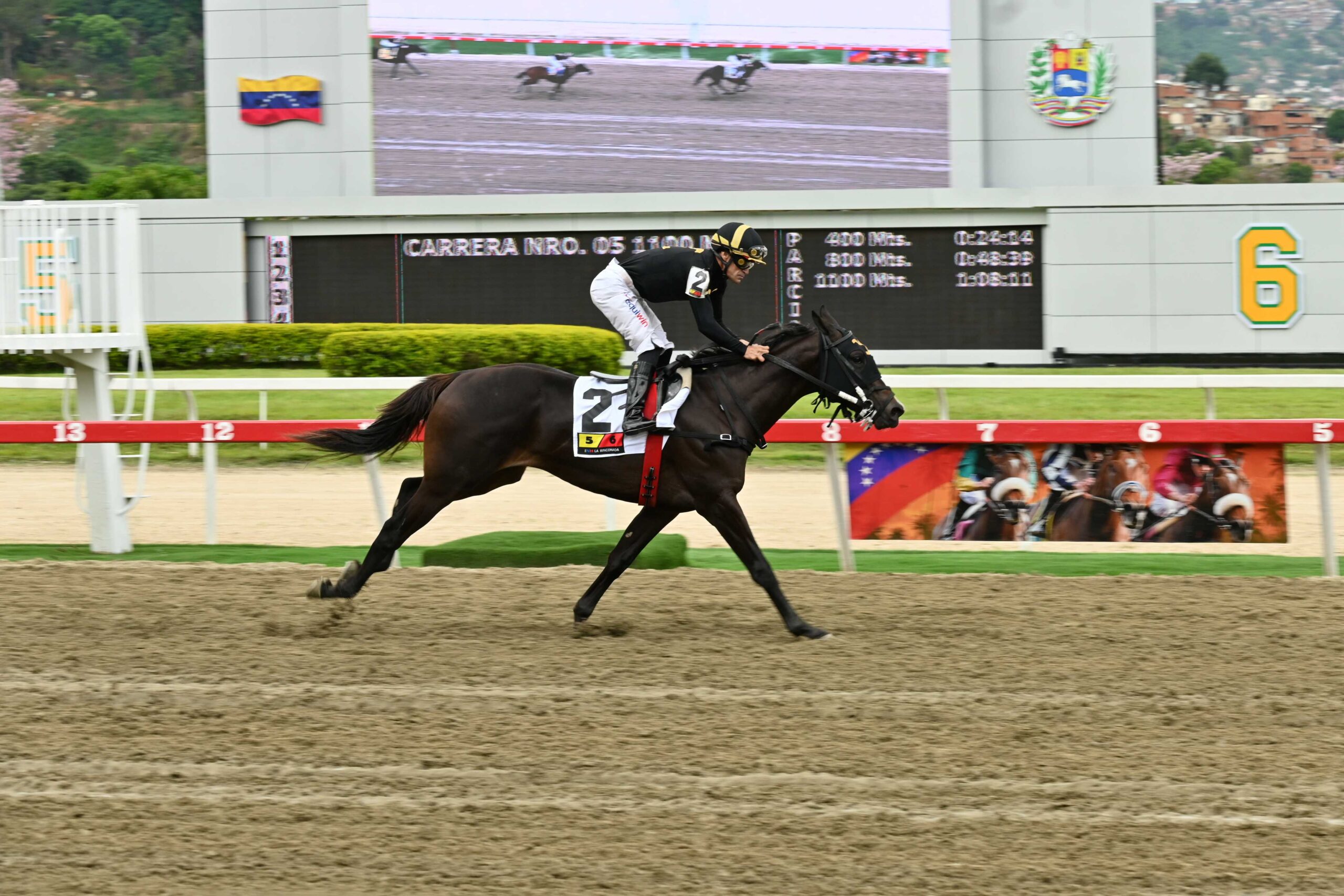 Star White, horse, Imaginay Sailor, Clásico Periodistas Hípicos, domingo, 18 de mayo de 2025, La Rinconada. Foto: José Antonio Aray