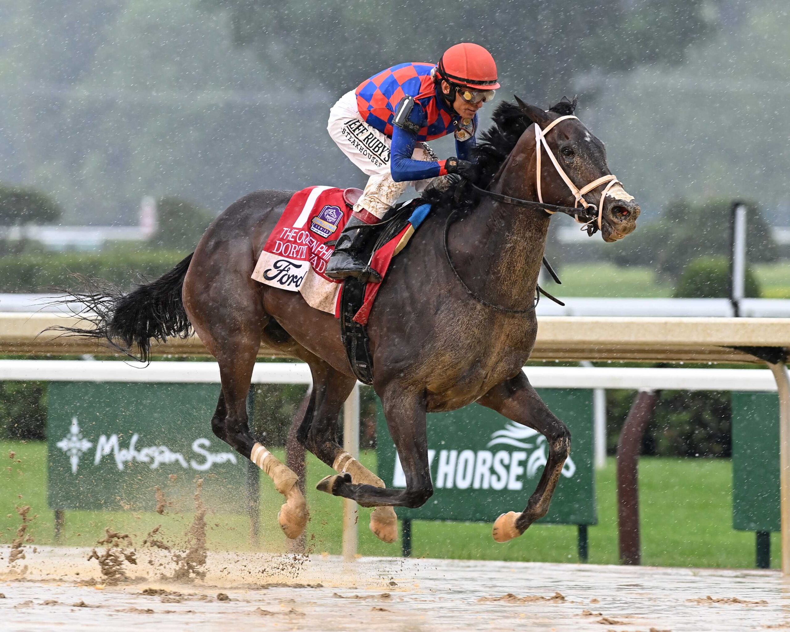 Dorth Vader, horse, Girvin, Ogden Phipps Stakes By Ford, viernes, 6 de junio de 2025, Saratoga. Foto: Coglianese Photo