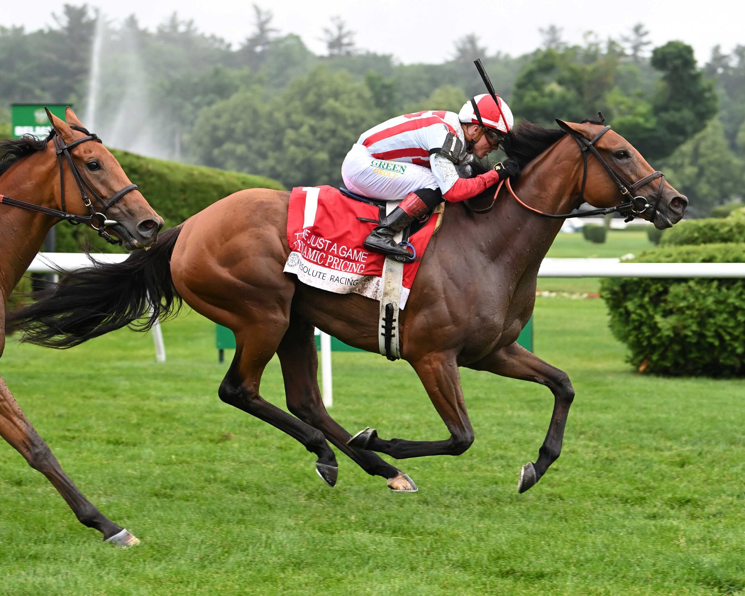 Dynamic Pricing, horse, Nigth Of Thunder, Just A Game Stakes, viernes, 6 de junio de 2025, Saratoga. Foto: Coglianese Photo