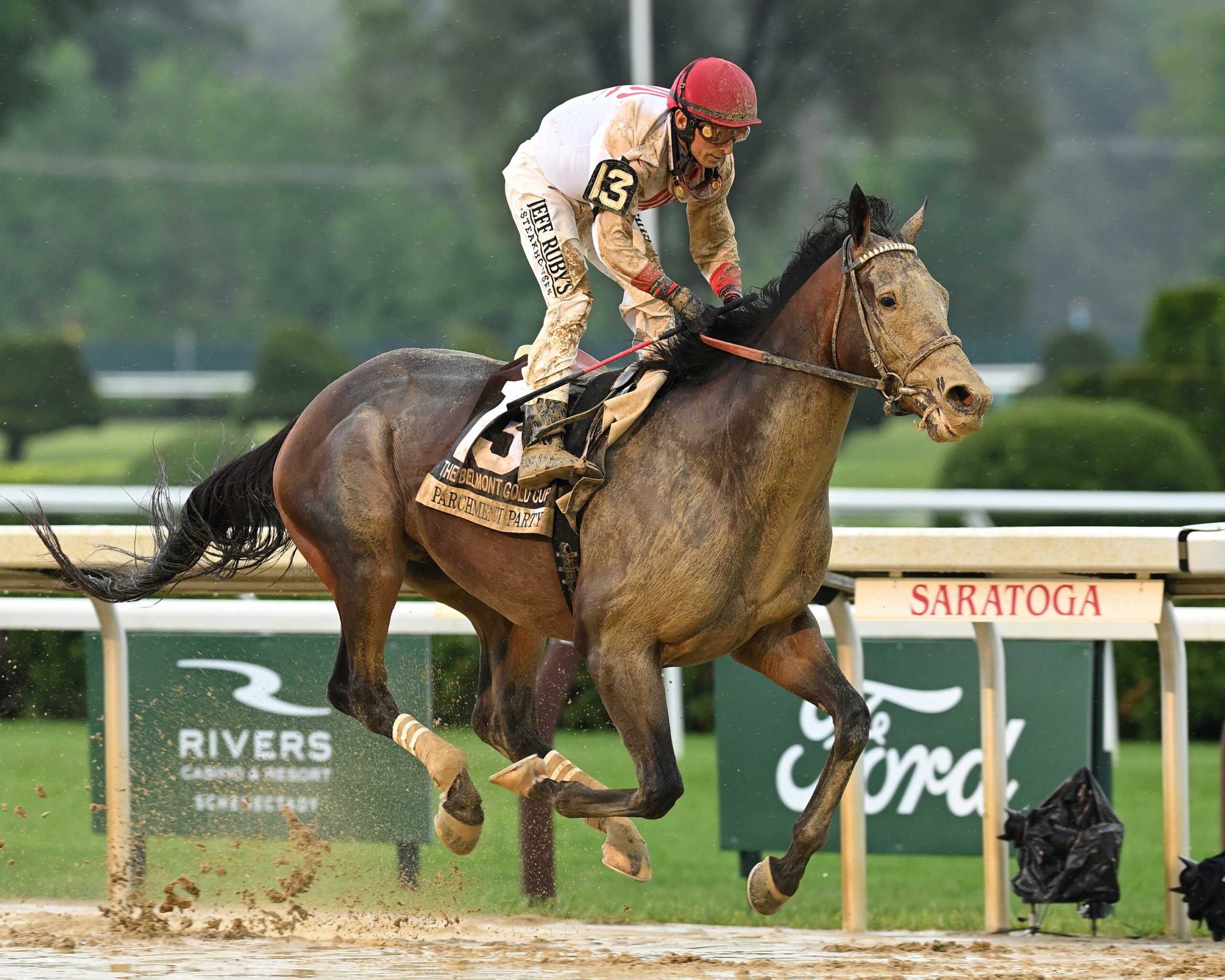 Parchment Party, horses, Constitution, Belmont Gold Cup Stakes, viernes, 6 de junio de 2025, Saratoga. Foto: Coglianese Photo