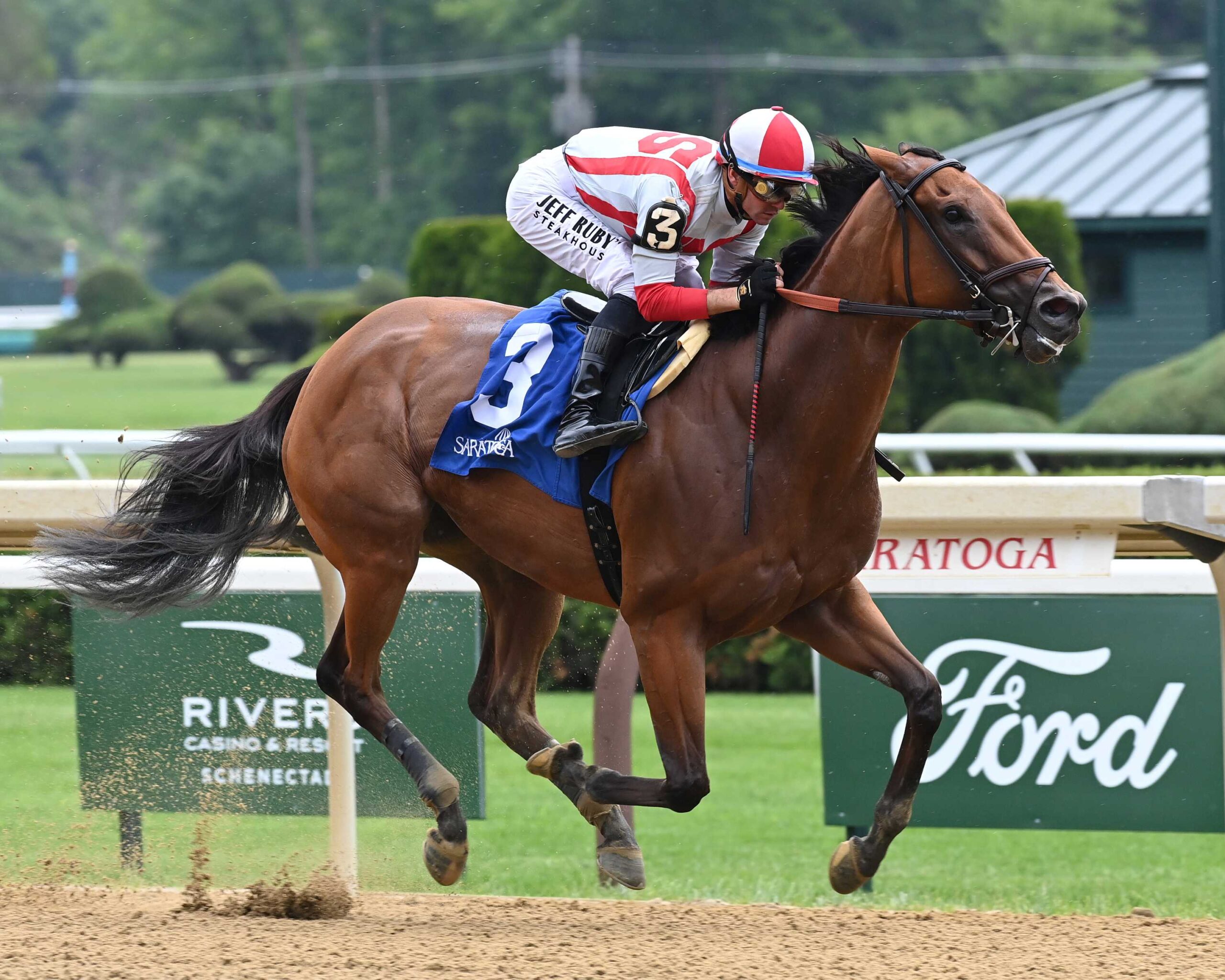 Ways And Means, horses, Practical Joke, Bed O´ Roses Stakes, sábado, 15 de junio de 2024, Belmont At The Big A. Foto: Coglianese Photo & Susie Raisher
