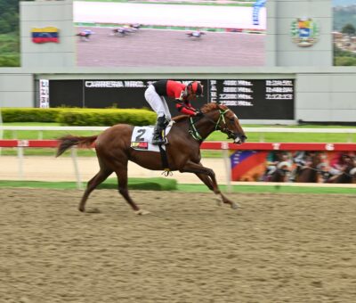 Catire Pedro, horse, An Serafini, Copa Holly Del Rincón, domingo, 29 de junio de 2025, La Rinconada. Foto: José Antonio Aray