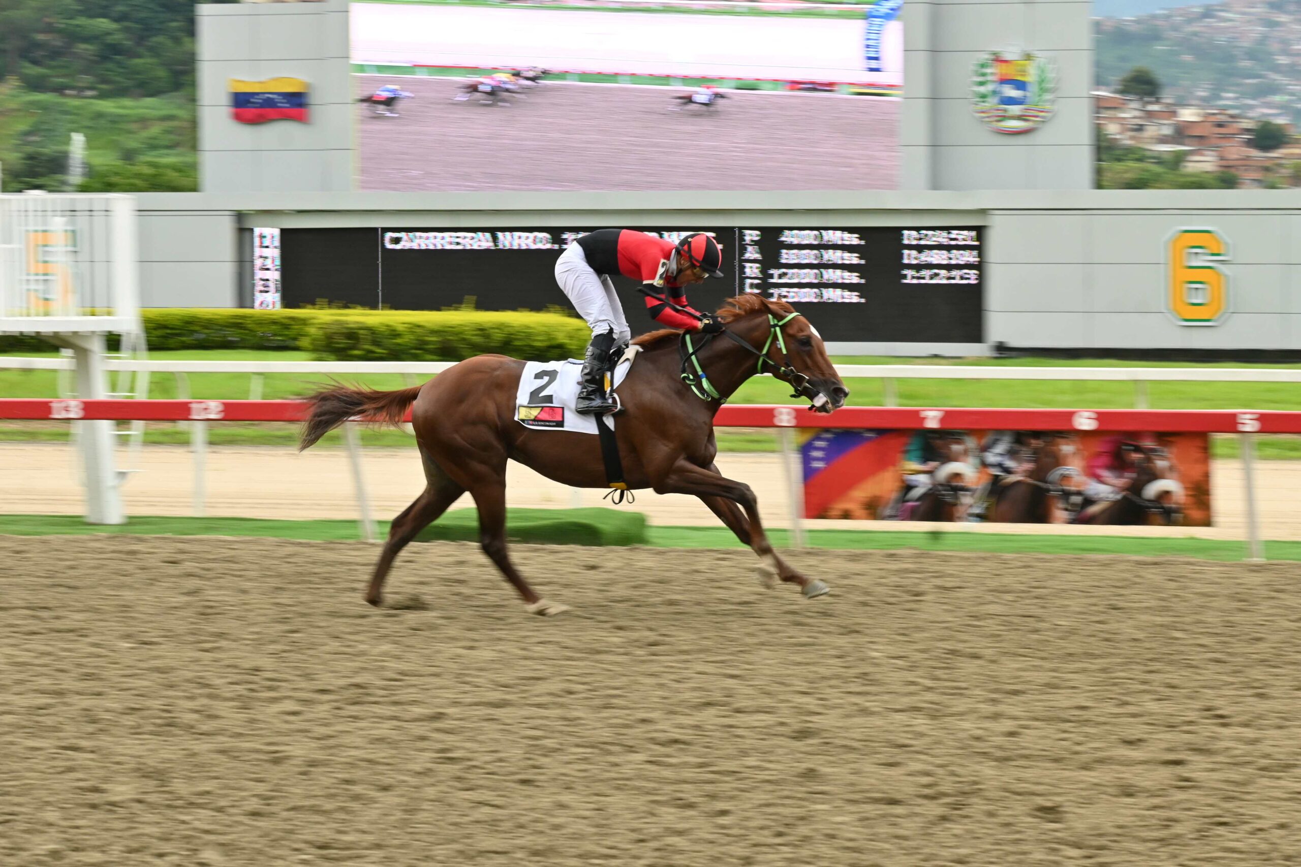 Catire Pedro, horse, An Serafini, Copa Holly Del Rincón, domingo, 29 de junio de 2025, La Rinconada. Foto: José Antonio Aray